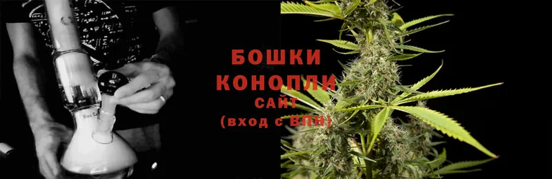 продажа наркотиков  Братск  Каннабис SATIVA & INDICA 